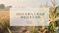 2025年水稻與玉米高效種植技術(shù)全攻略