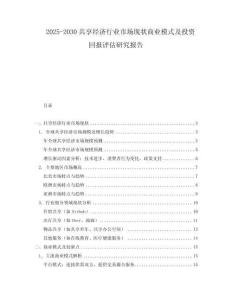 2025-2030共享經(jīng)濟(jì)行業(yè)市場(chǎng)現(xiàn)狀商業(yè)模式及投資回報(bào)評(píng)估研究報(bào)告