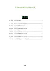 壓縮感知在圖像處理中的應(yīng)用-洞察與解讀