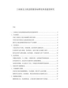 工业级无人机巡检服务标准化体系建设研究