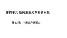 4.12 中國共產(chǎn)黨誕生 統(tǒng)編版八年級(jí)歷史上學(xué)期
