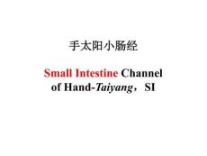 醫學學科：6.手太陽小腸經