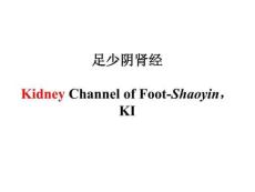 醫學學科：8.足少陰腎經