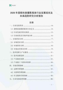 2026年蛋糕創(chuàng)意攝影服務(wù)行業(yè)發(fā)展現(xiàn)狀及未來(lái)趨勢(shì)研究分析報(bào)告