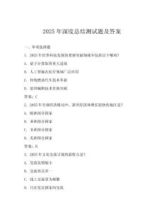 2025年深度總結(jié)測(cè)試題及答案