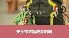 【課件】安全帶專題教育培訓(xùn)