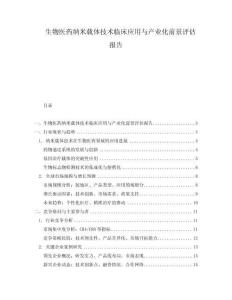生物醫(yī)藥納米載體技術(shù)臨床應(yīng)用與產(chǎn)業(yè)化前景評(píng)估報(bào)告