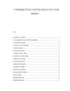 中國氫能源汽車核心零部件供應(yīng)鏈安全評(píng)估與發(fā)展戰(zhàn)略報(bào)告