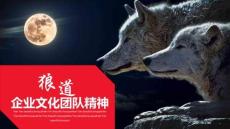 企業文化團隊精神企業培訓