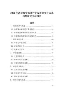 2026年木漿殘余堿液行業發展現狀及未來趨勢研究分析報告