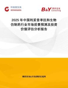 2025年中國利妥昔單抗和生物仿制藥行業(yè)市場前景預(yù)測及投資價值評估分析報告
