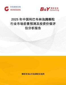2025年中国利巴韦林泡腾颗粒行业市场前景预测及投资价值评估分析报告