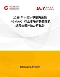 2025年中國冰甲基丙烯酸（GMAA）行業(yè)市場前景預(yù)測及投資價值評估分析報告