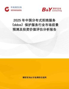 2025年中國分布式拒絕服務（ddos）保護服務行業(yè)市場前景預測及投資價值評估分析報告