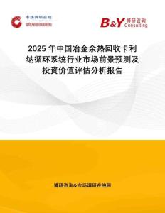 2025年中國(guó)冶金余熱回收卡利納循環(huán)系統(tǒng)行業(yè)市場(chǎng)前景預(yù)測(cè)及投資價(jià)值評(píng)估分析報(bào)告