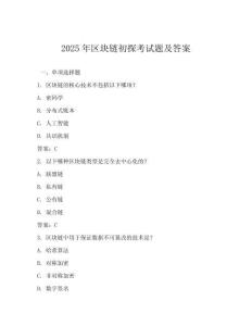 2025年區塊鏈初探考試題及答案