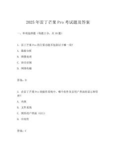 2025年雷丁芒果Pro考試題及答案