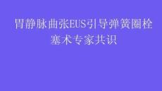 胃靜脈曲張EUS引導彈簧圈栓塞術專家共識2025