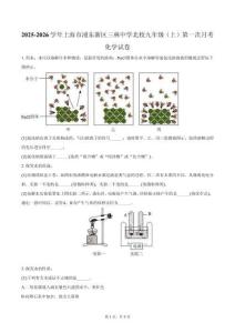2025-2026學(xué)年上海市浦東新區(qū)三林中學(xué)北校九年級(jí)（上）第一次月考化學(xué)試卷（含答案）