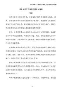 提升知識(shí)產(chǎn)權(quán)運(yùn)用與轉(zhuǎn)化的效率