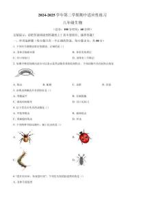 福建省漳州市臺(tái)商區(qū)第一中學(xué)2024-2025學(xué)年八年級(jí)上學(xué)期期中生物試題（含答案）