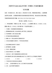 廣東省河源市河源中學(xué)2025-2026學(xué)年高二上學(xué)期10月月考 化學(xué)試題（含答案）