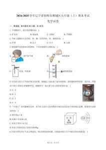 遼寧省撫順市順城區(qū)2024-2025學(xué)年九年級（上）期末化學(xué)試卷（含答案）