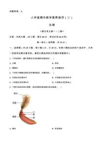 陜西省榆林市子洲縣周家鹼中學(xué)2024-2025學(xué)年八年級上學(xué)期期中生物試題（含答案）