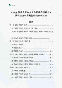 2026年網球拍揮擊角度與揮速平衡行業發展現狀及未來趨勢研究分析報告