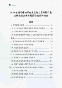 2026年羽毛球拍揮擊角度與力量分配行業發展現狀及未來趨勢研究分析報告