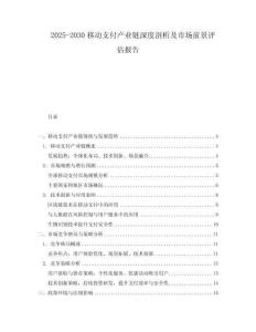 2025-2030移動支付產(chǎn)業(yè)鏈深度剖析及市場前景評估報告