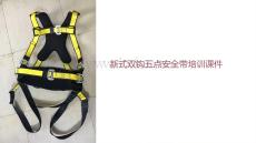 新式雙鉤五點安全帶課件