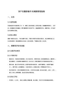 孕產婦腹腔鏡手術麻醉管理指南