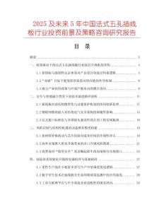 2025及未來5年中國法式五孔插線板行業投資前景及策略咨詢研究報告