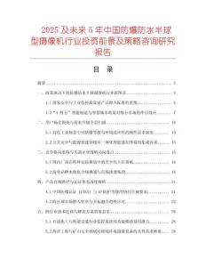 2025及未來5年中國防爆防水半球型攝像機行業投資前景及策略咨詢研究報告
