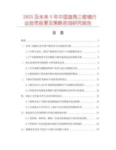 2025及未來5年中國直角三棱鏡行業投資前景及策略咨詢研究報告
