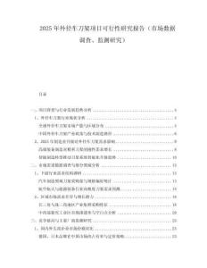 2025年外徑車刀架項目可行性研究報告（市場數據調查、監測研究）
