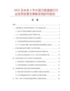 2025及未來5年中國方框道路燈行業(yè)投資前景及策略咨詢研究報告