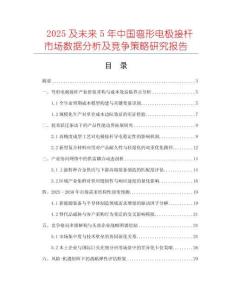 2025及未來5年中國彎形電極接桿市場數(shù)據(jù)分析及競爭策略研究報告