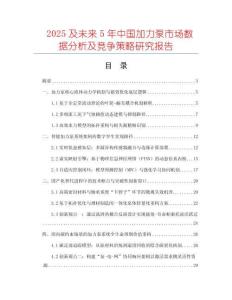 2025及未來5年中國加力泵市場數(shù)據(jù)分析及競爭策略研究報告