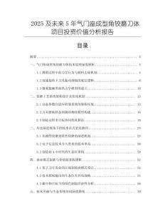 2025及未來5年氣門座成型角鉸磨刀體項(xiàng)目投資價(jià)值分析報(bào)告