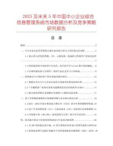 2025及未來5年中國中小企業(yè)綜合信息管理系統(tǒng)市場數(shù)據(jù)分析及競爭策略研究報(bào)告