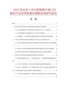 2025及未來(lái)5年中國(guó)等離子坡口切割機(jī)行業(yè)投資前景及策略咨詢(xún)研究報(bào)告