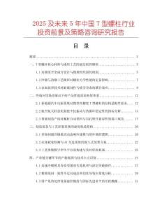 2025及未來5年中國T型螺柱行業(yè)投資前景及策略咨詢研究報告