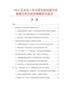 2025及未來5年中國毛線鉤墊市場數(shù)據(jù)分析及競爭策略研究報(bào)告