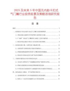 2025及未來5年中國無內(nèi)胎卡扣式氣門嘴行業(yè)投資前景及策略咨詢研究報告