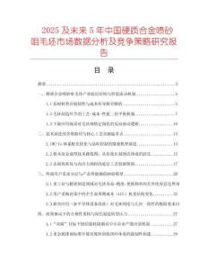 2025及未來5年中國硬質(zhì)合金噴砂咀毛坯市場數(shù)據(jù)分析及競爭策略研究報告