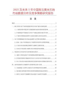 2025及未来5年中国刚玉莫米石砖市场数据分析及竞争策略研究报告
