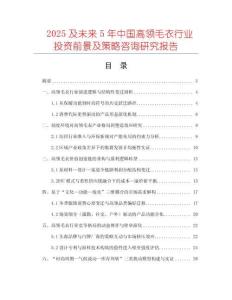 2025及未來5年中國高領(lǐng)毛衣行業(yè)投資前景及策略咨詢研究報告