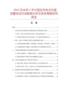 2025及未來5年中國(guó)自充電式交直流蓄電池市場(chǎng)數(shù)據(jù)分析及競(jìng)爭(zhēng)策略研究報(bào)告